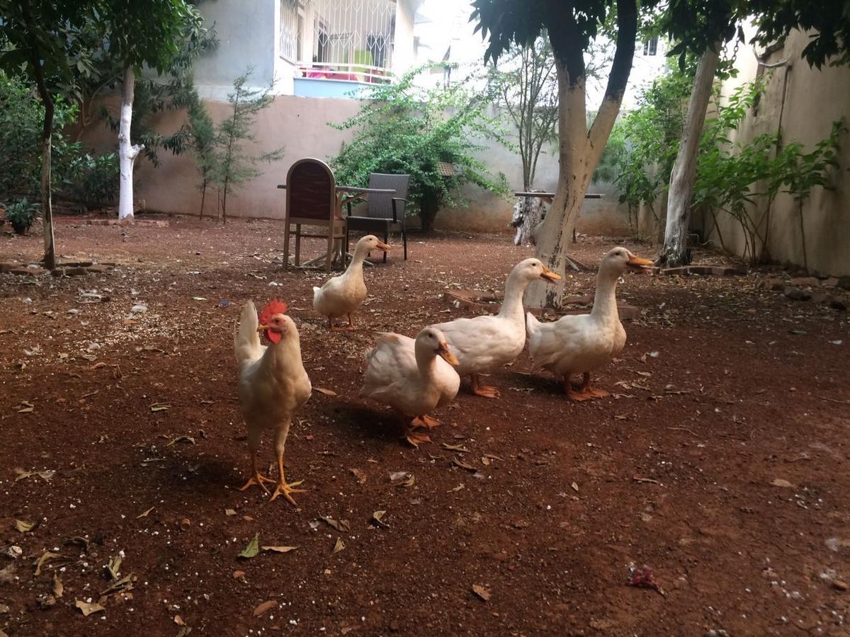 Uyar Palace Antalya Eksteriør bilde